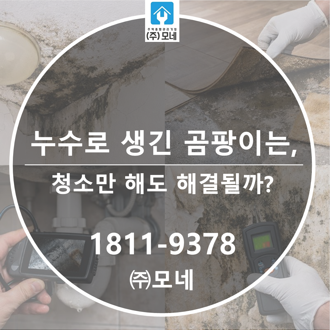 누수로 생긴 곰팡이는 청소만 해도 해결될까?
