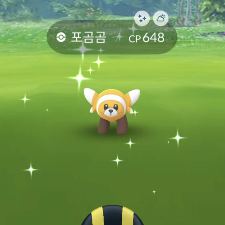 포곰곰 이로치