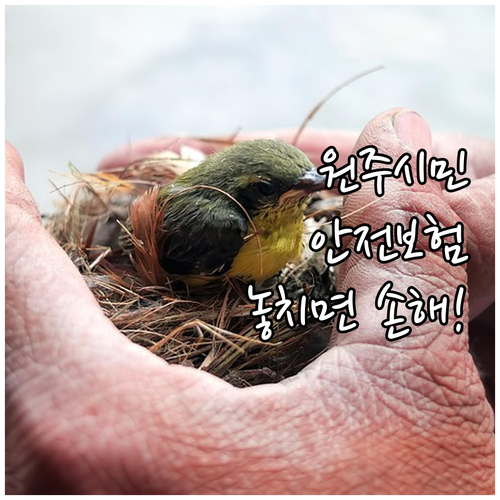 2025 원주시민을 위한 든든한 안전..