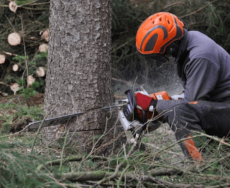 산림복지서비스이용권