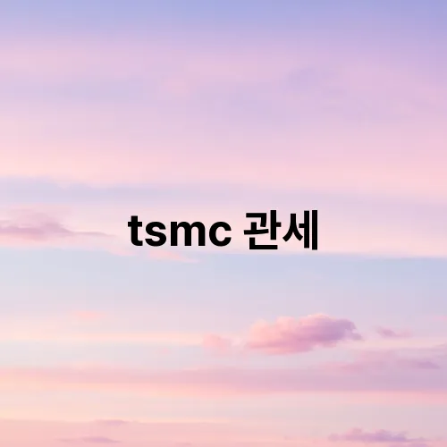 tsmc 관세