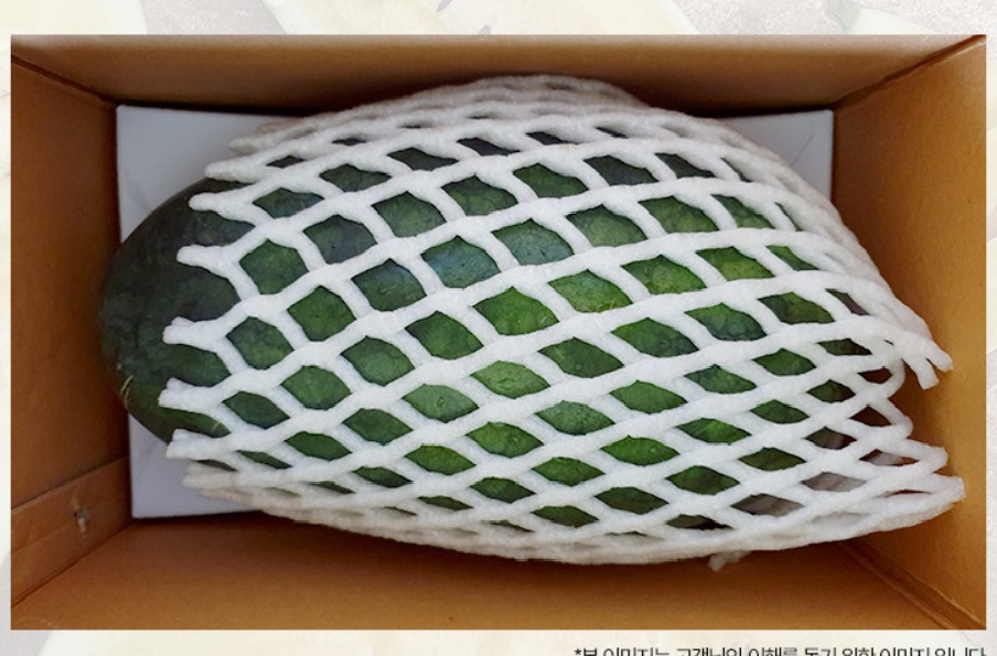 EBS-극한직업-전북-고창-블랙망고수박-노란수박-아어가지농장