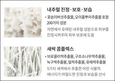 썬크림 선쿠션 추천 Best 5