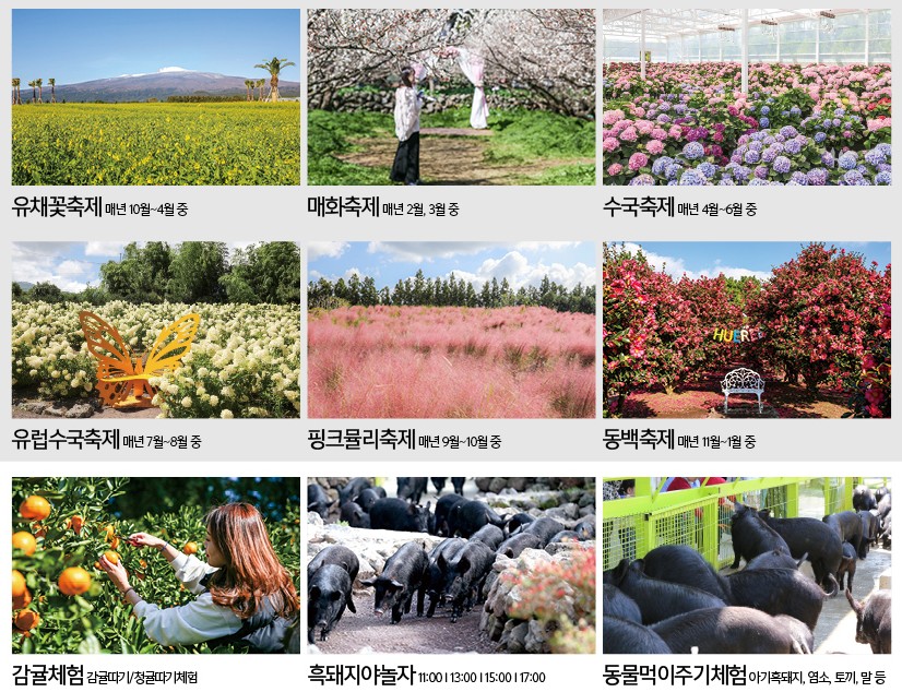 휴애리 주요축제