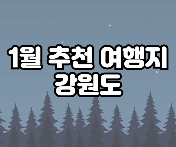 강원도 여행 추천