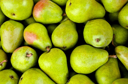 2024년 공익직불금 지급시기 신청방법 알아보는 농민과 관련된 농작물 사진