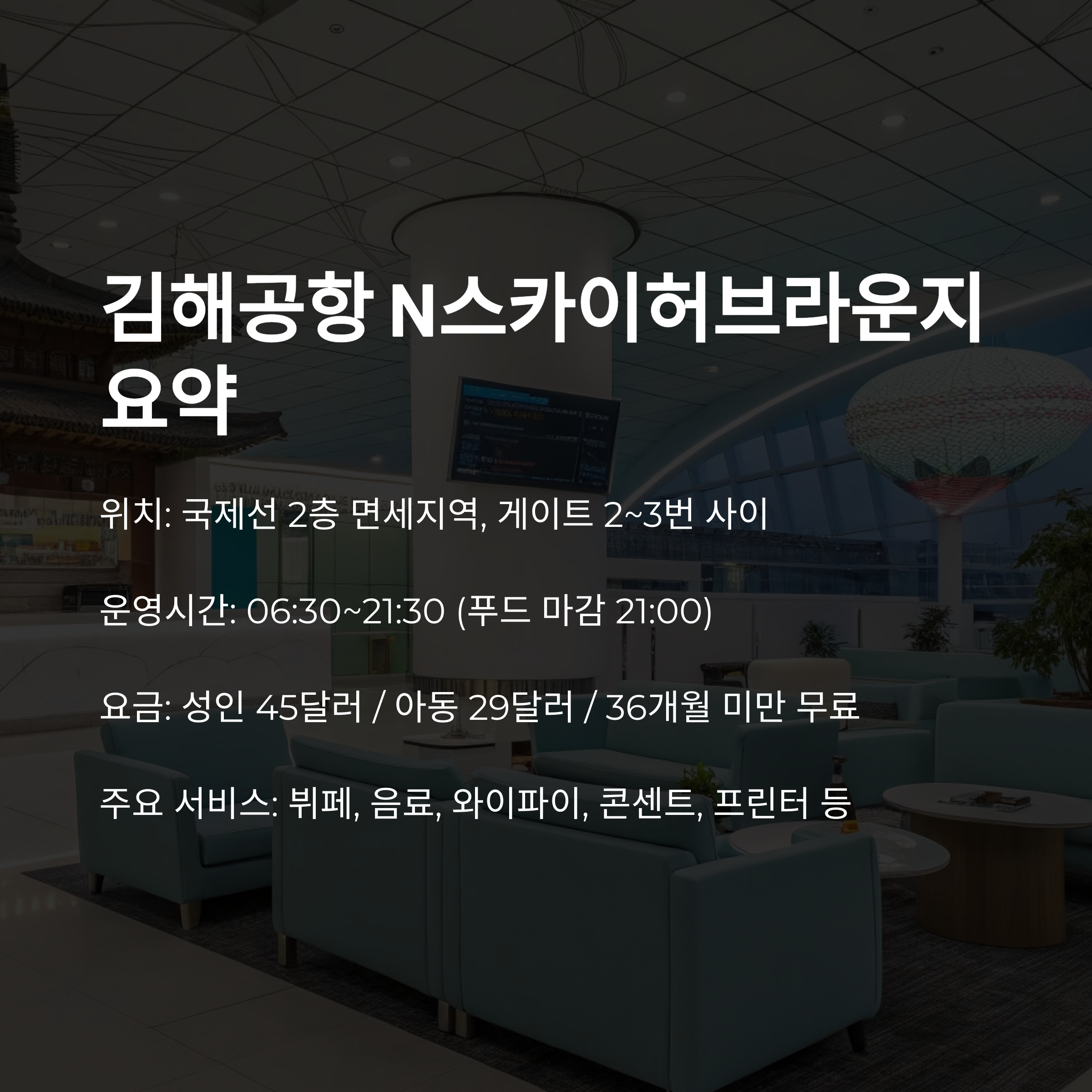 n스카이허브라운지 요약