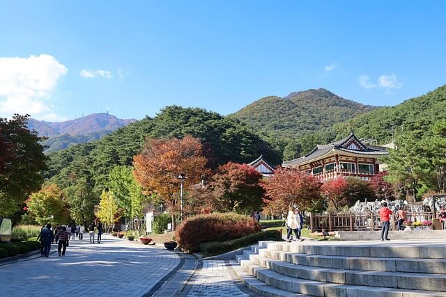 용문산 자연휴양림