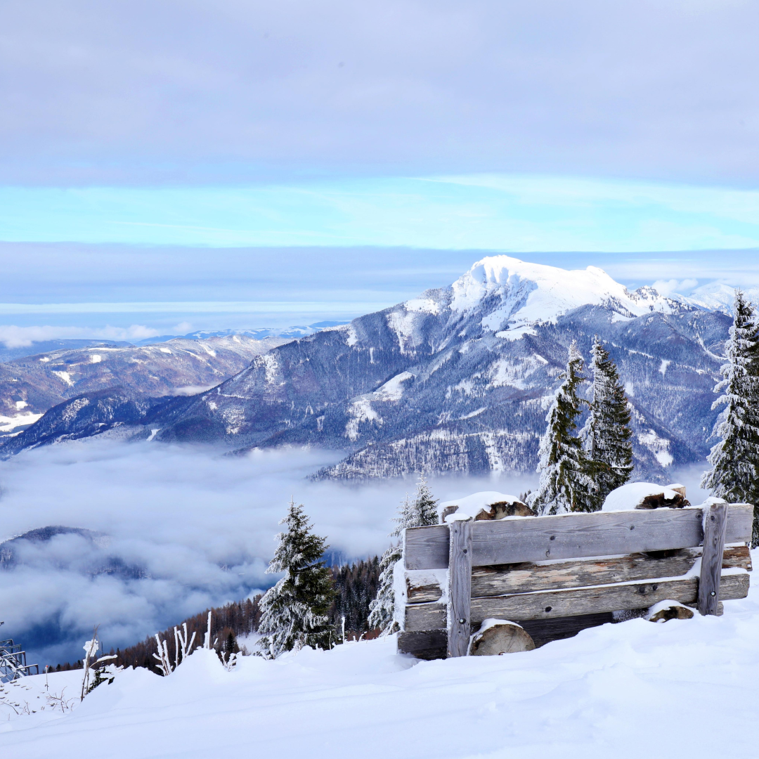사게절 국내 계절별 여행지 관련 사진