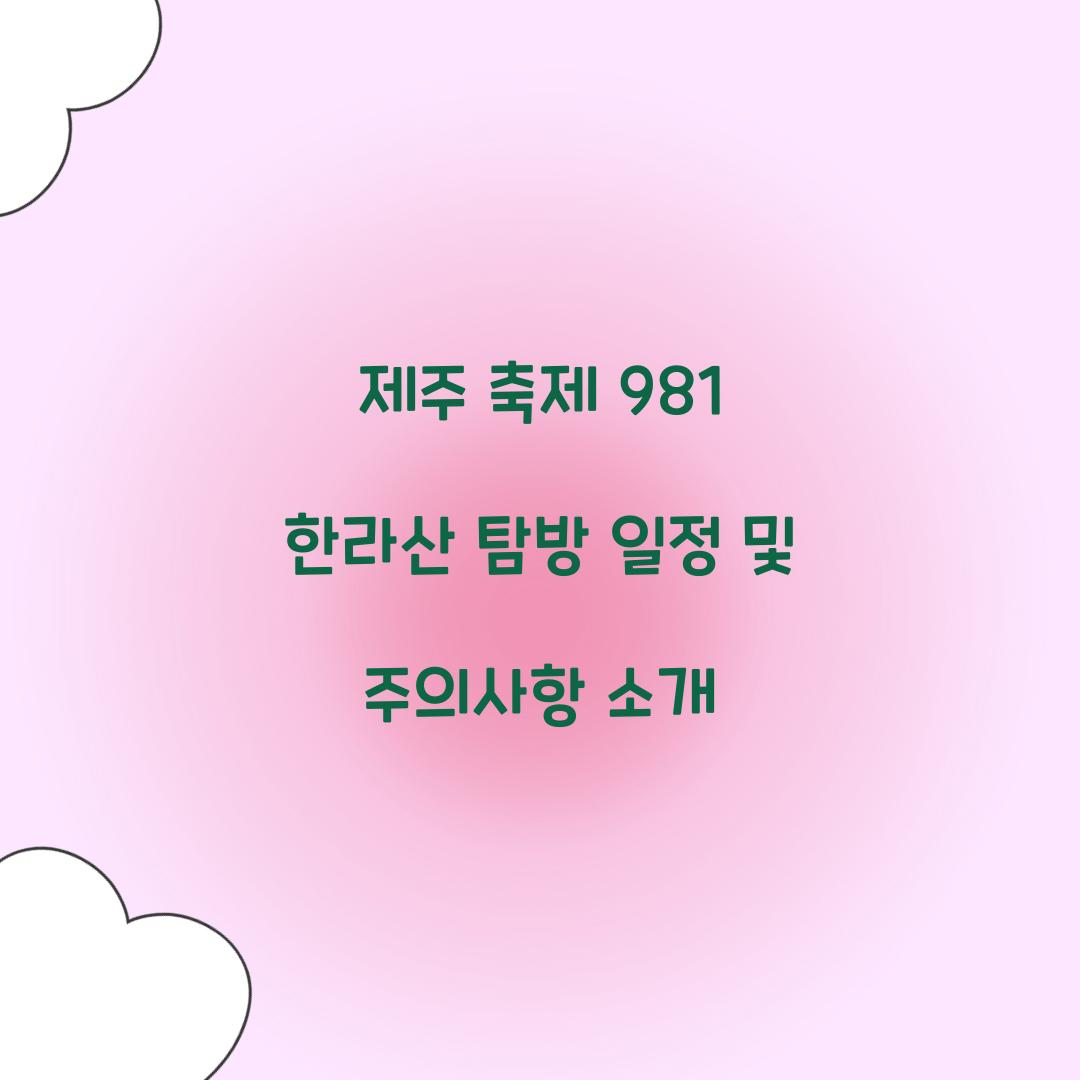 제주 축제 981 한라산
