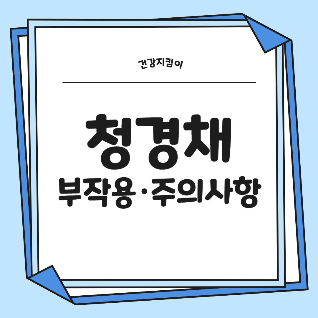 청경채 효능 부작용 고르는법 칼로리