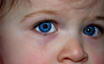 기질별 특성에 따른 언어 표현 지연 원인