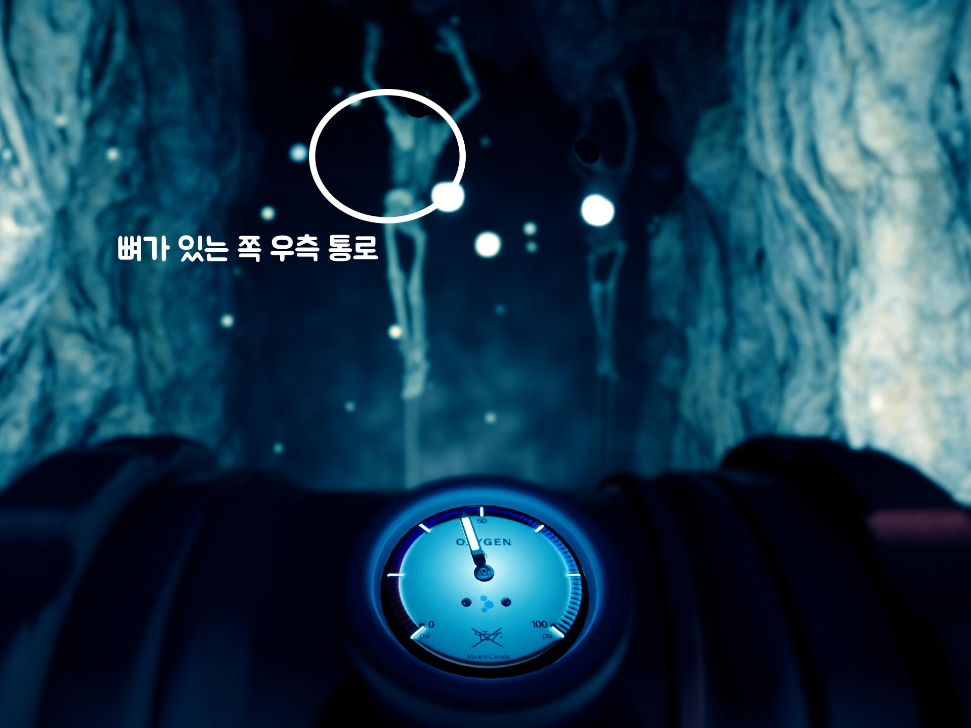 물 속에 있는 뼈의 모습.