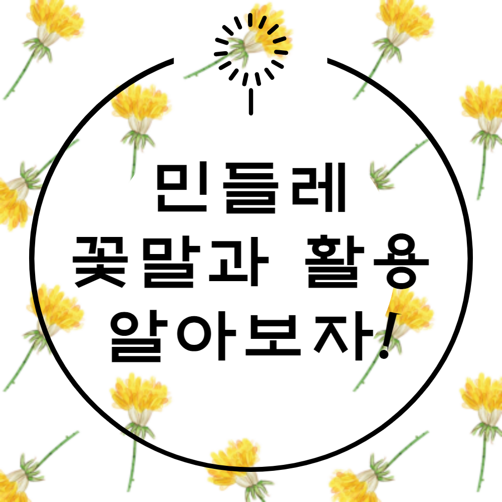 민들레꽃말