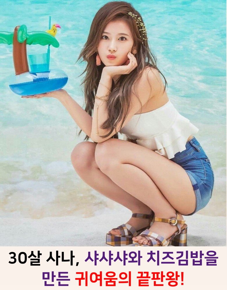 트와이스 사나 대표 이미지