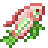 Lullaby Carp