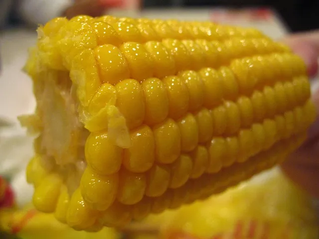 KFC 메뉴 추천 인기메뉴 1+1메뉴_6