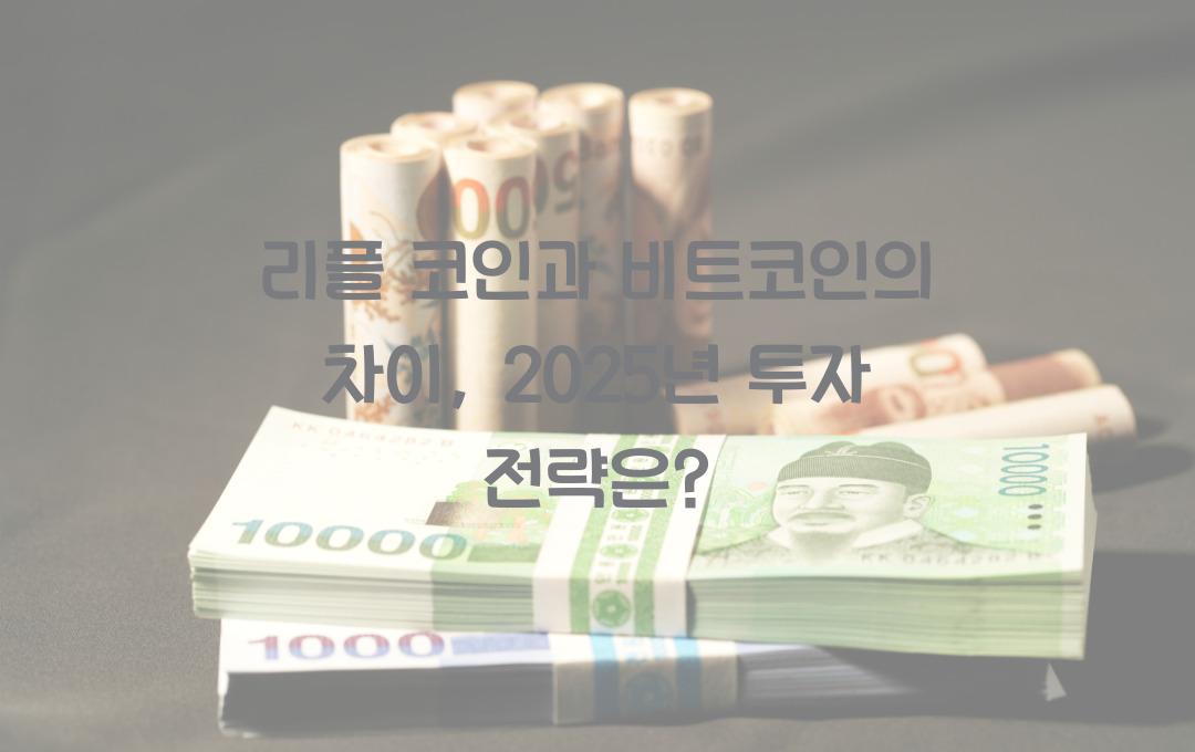 리플 코인과 비트코인의 차이 – 어떤 게 더 좋은 투자처일까?