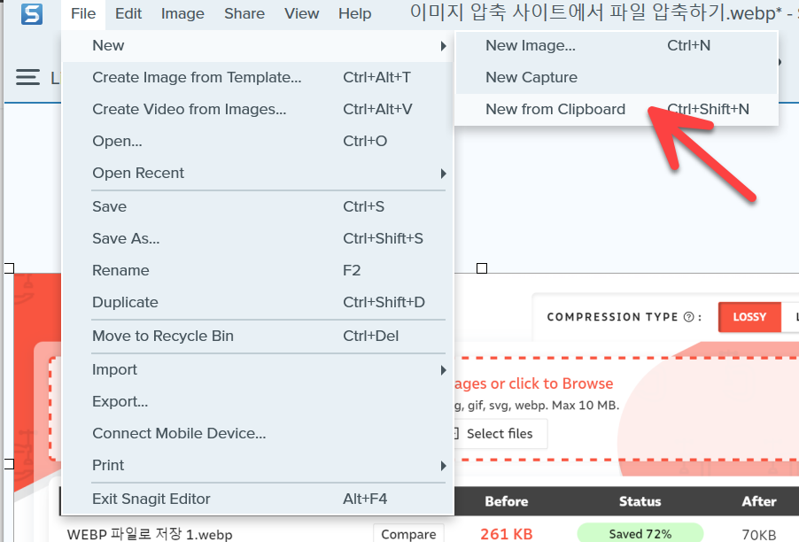 스내그잇 - 자신 캡처