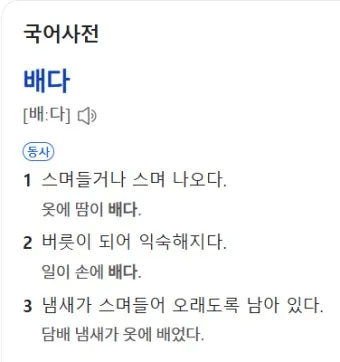 몸에 배다 베다 구분과 올바른 사용_17