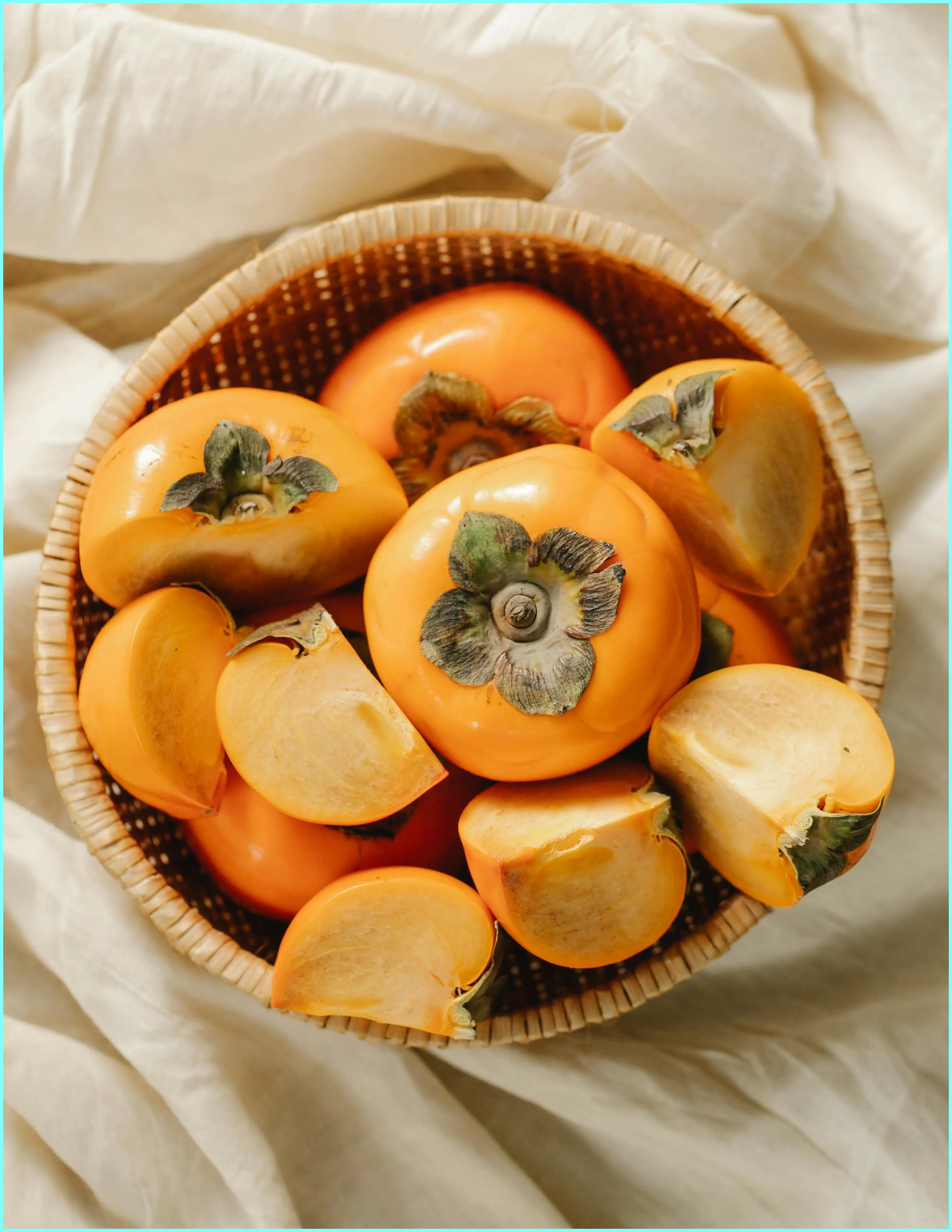 강아지 감 먹어도 되나요? 안전하게 먹이는 방법과 주의점