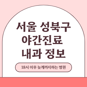 서울 성북구 야간진료 내과 병원 (18시 이후 늦게까지하는 병원)