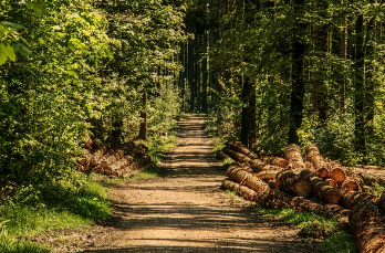맨발 걷기 좋은 곳