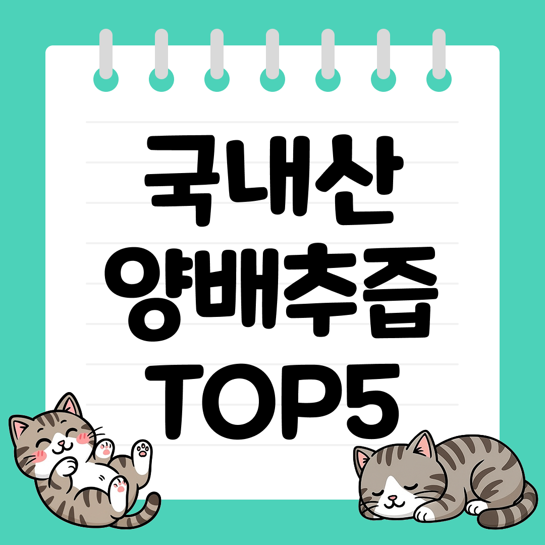 25년 9월 1주차 국내산 양배추즙 추천 순위 TOP5