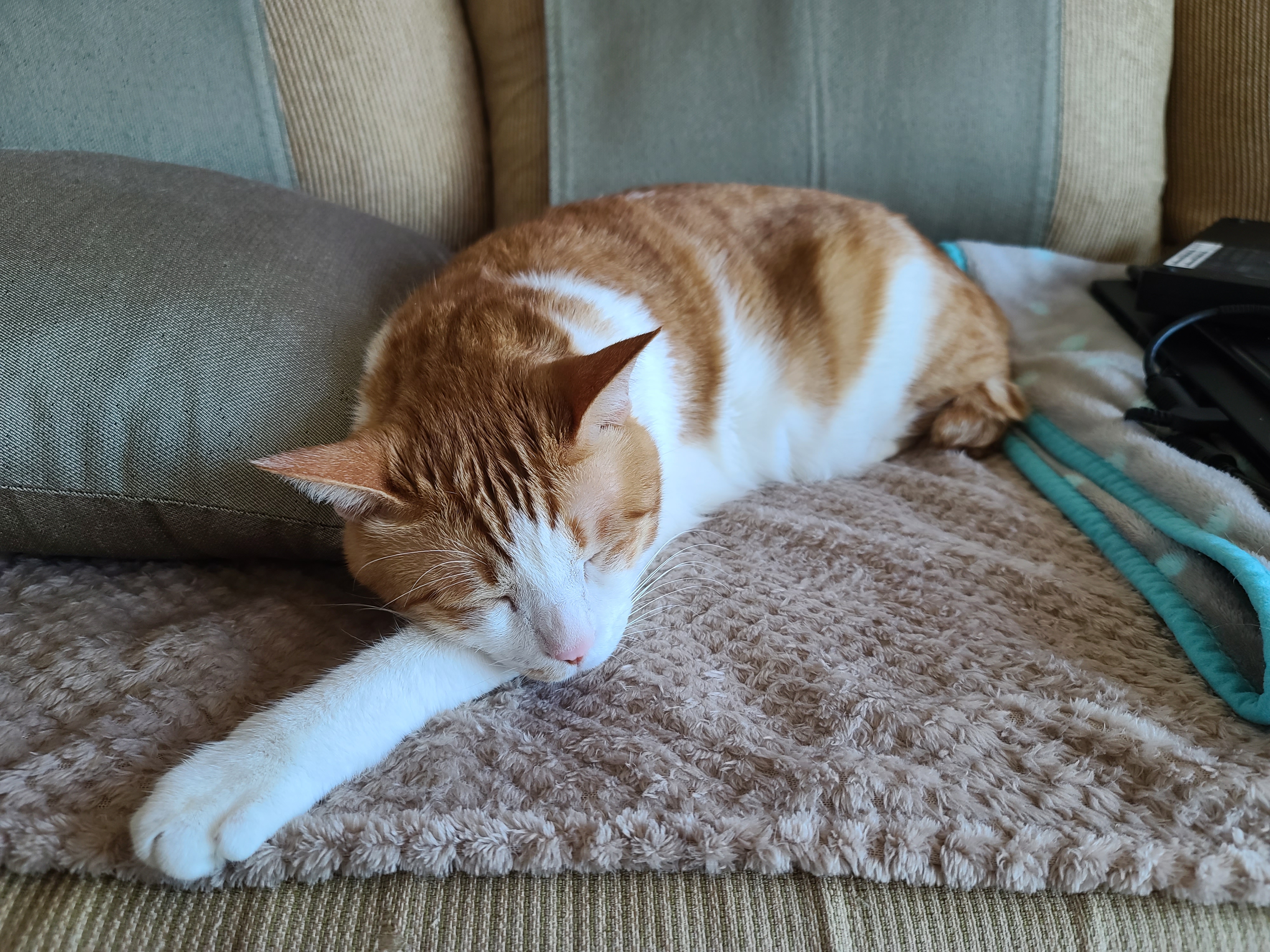 엄마손에 있는건 다 내꺼! 오랜만인 엄마랑의 오붓한 시간에 칭얼칭얼.