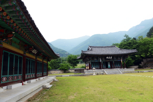 표충사 그림