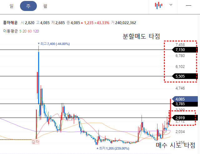 흥아해운 주봉차트