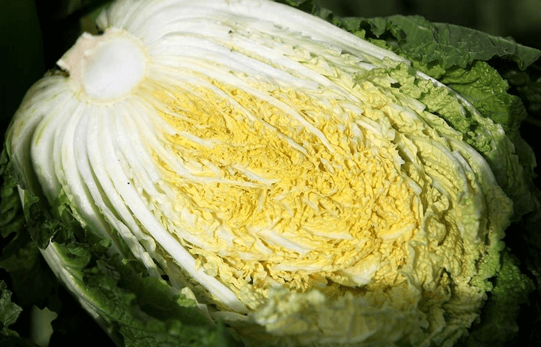 해남 절임배추 20kg 사전예약 가격비교