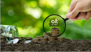 탄소중립포인트 자동차 신청