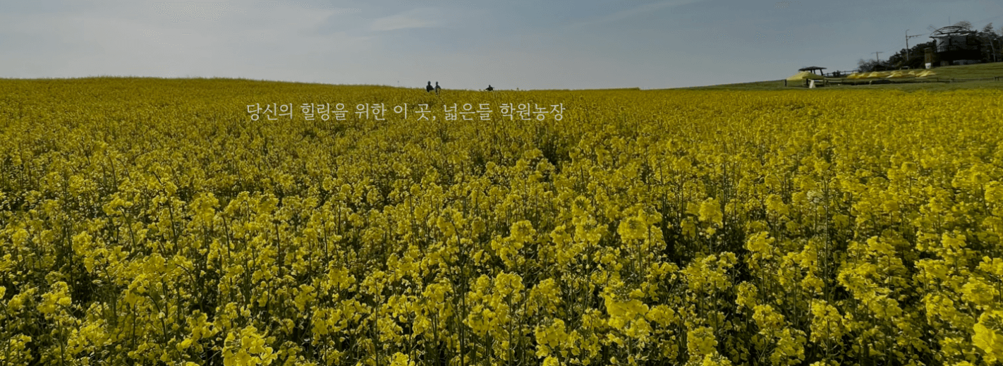 고창 학원 농장 입장료 총정리 관련사진