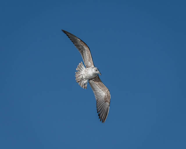 가평베고니아새정원