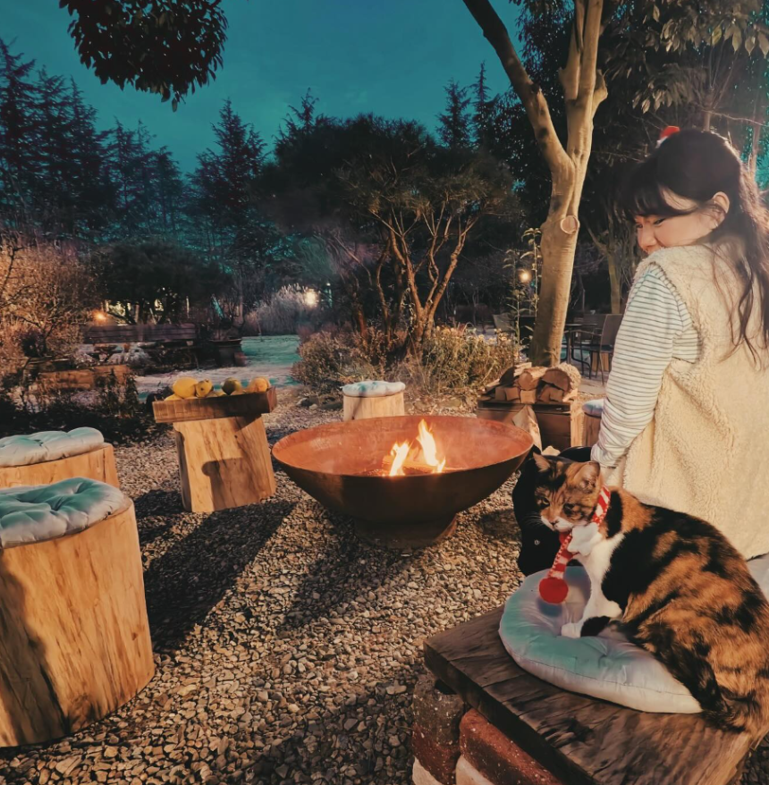 특색있고 아름다운 민간 정원 30선 추천 여행 - 11. 경주 야생화일기 정원