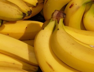 올팜 맞팜 친구 맺기