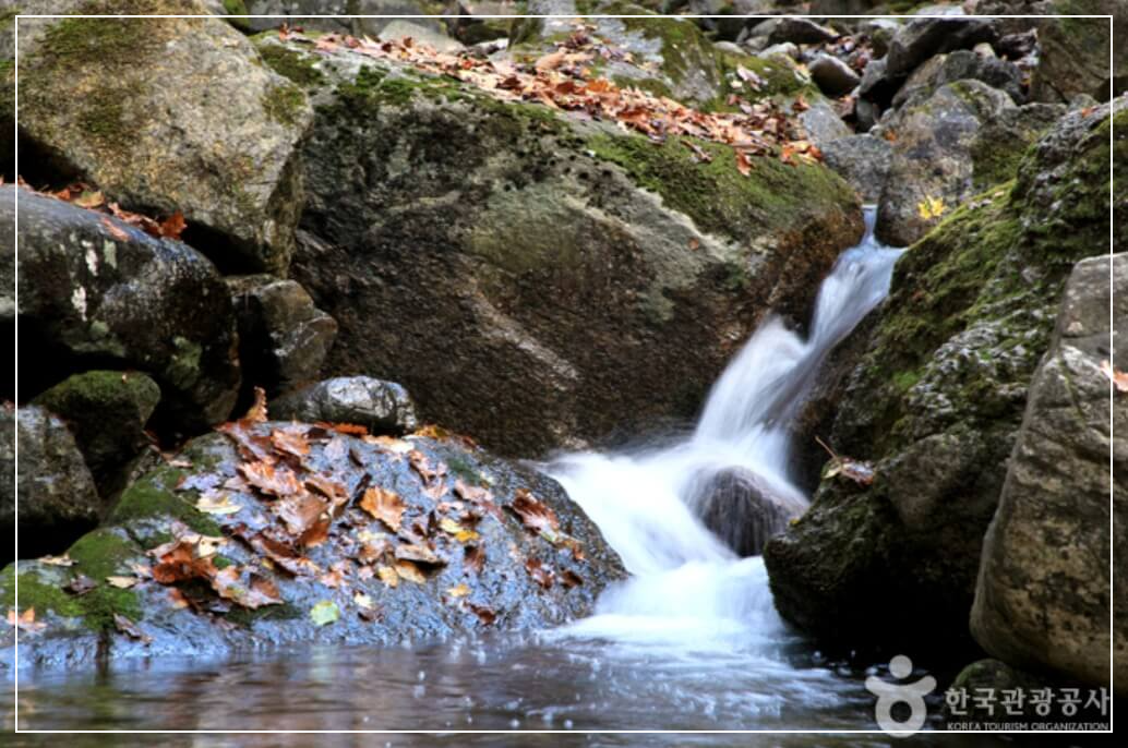 양구 가볼만한곳 베스트10 광치계곡