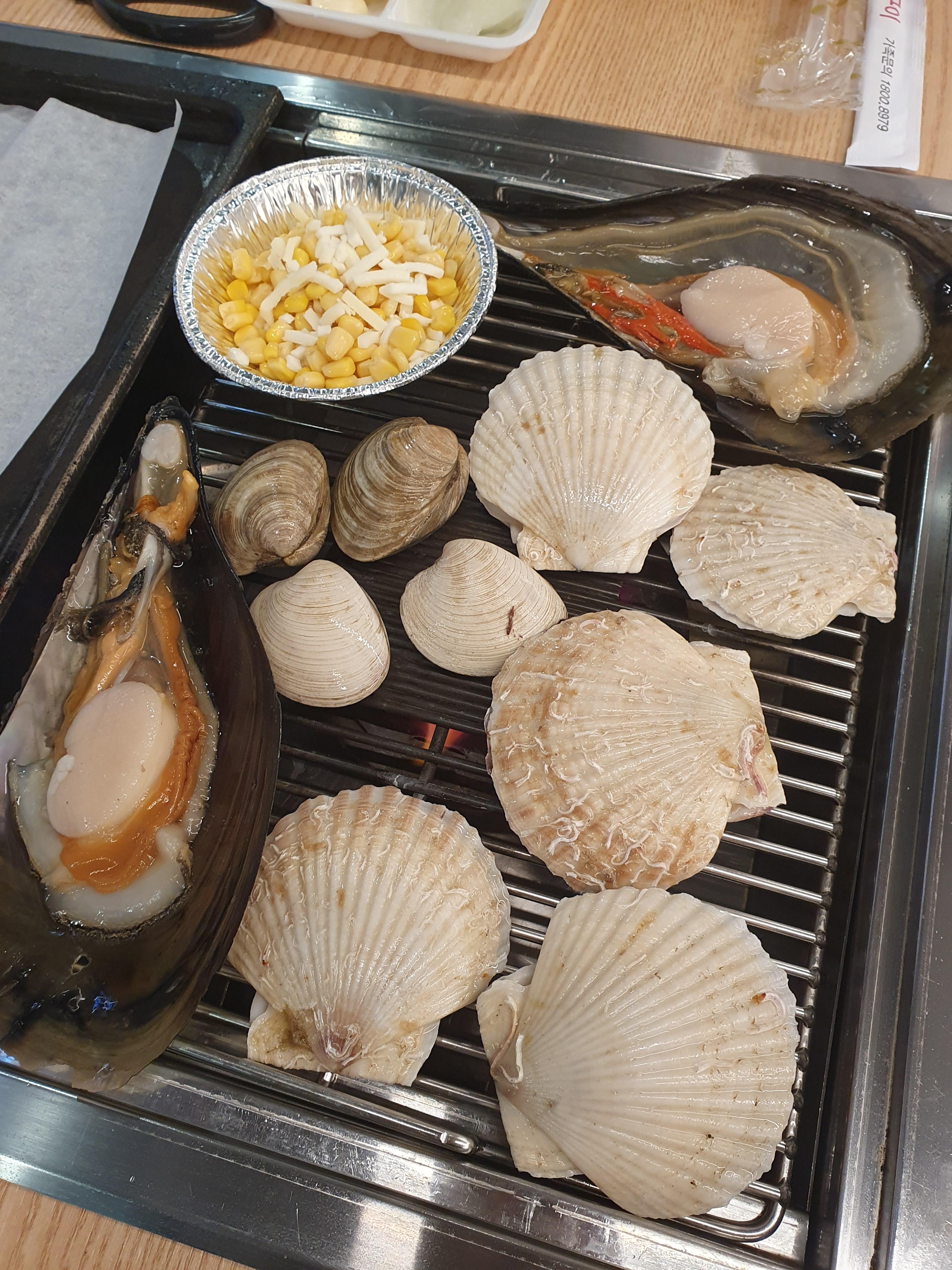 관저동 청춘 무한리필 조개구이 1판 굽기 시작!