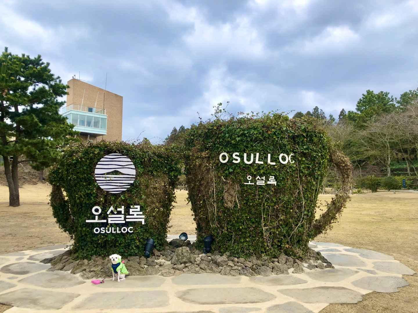 제주 오설록 티뮤지엄 방문기