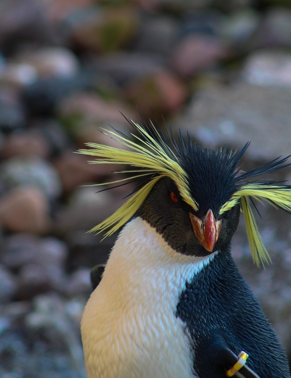 빙하가 사라지면 폭우와 가뭄이 동시에 늘어나는 이유!