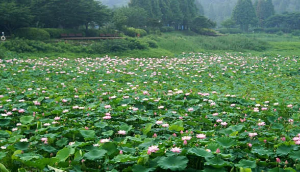 서동농촌테마공원