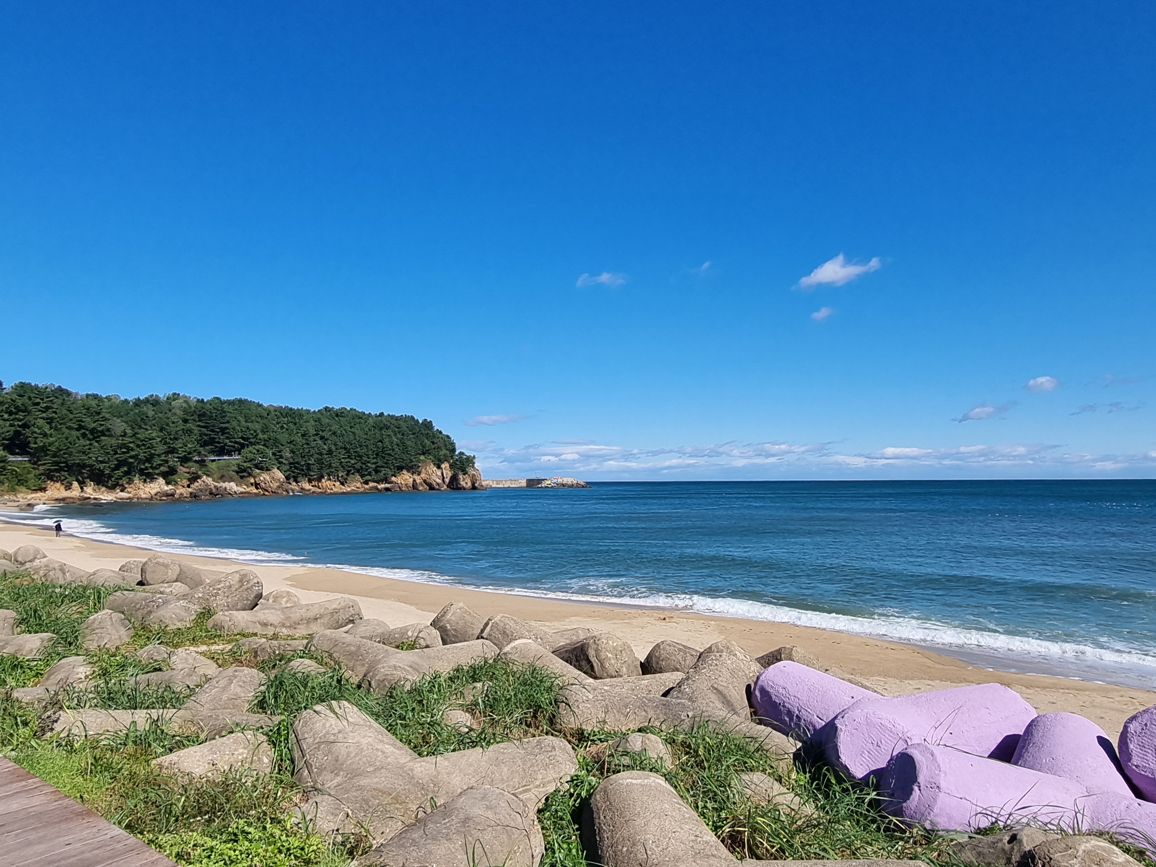 강원도 동해 가볼만한곳 한섬해수욕장 후기 ❘ 주차 빛터널 하대암 산책로