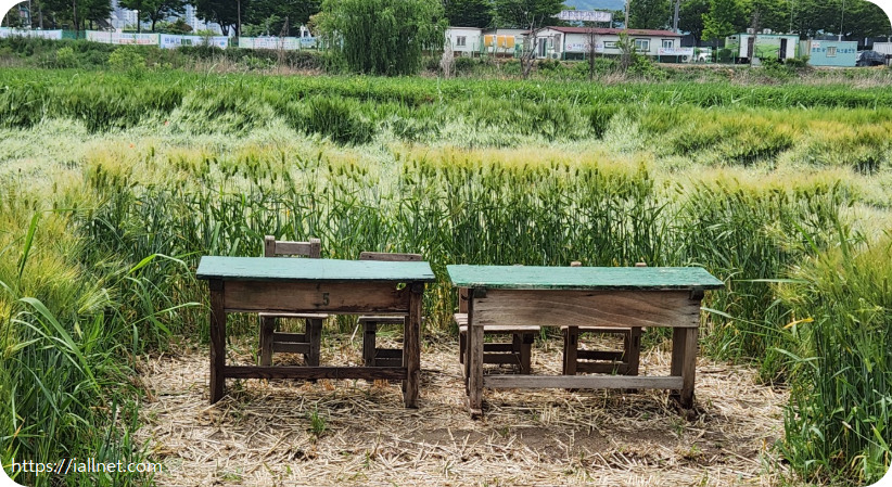 국민하교 시절 공부하는 책상