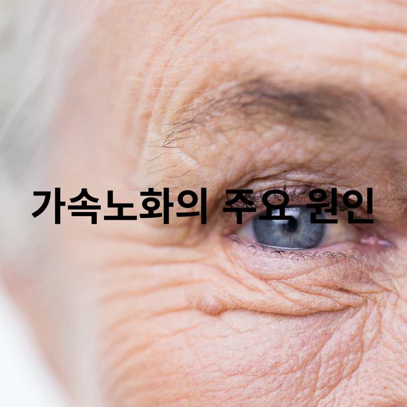가속노화 원인과 가속노화 예방법 총정리