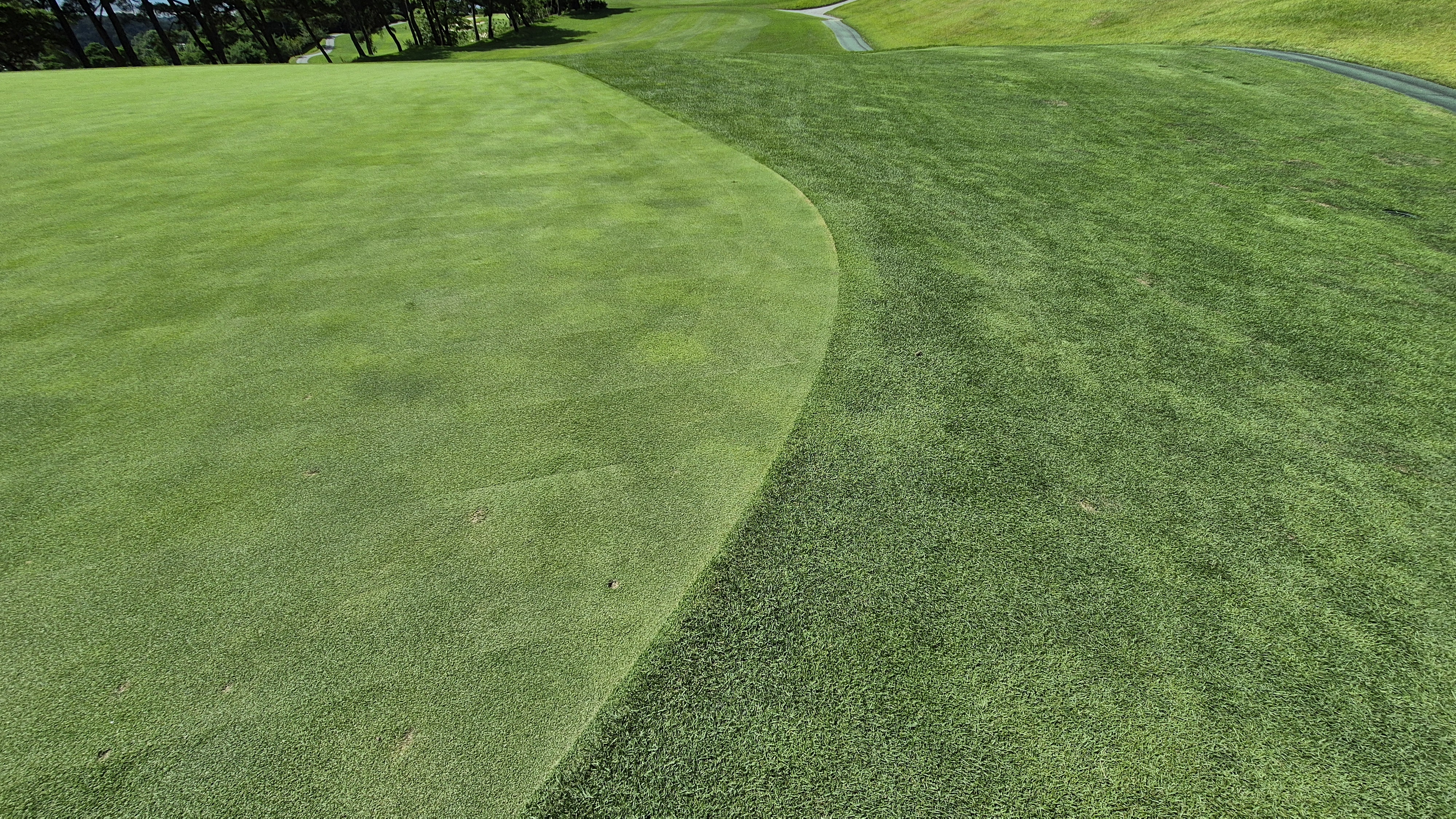 SG 아름다운cc 라운드 후기