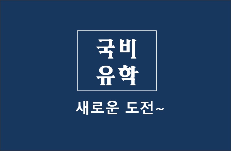 국비유학