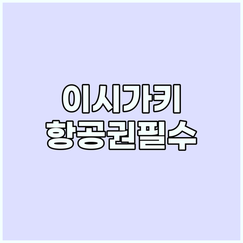 이시가키 여행, 항공권 사전 예약이 ..