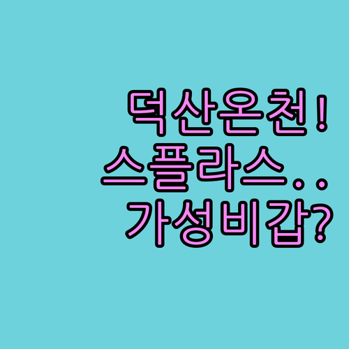 예산 덕산 온천 숙소 추천 스플라스 ..