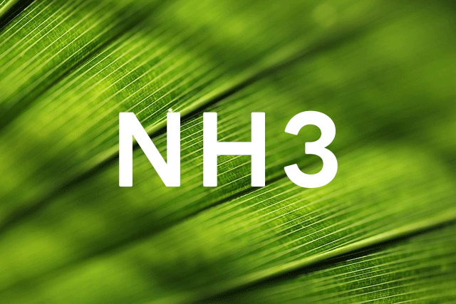 그린 암모니아